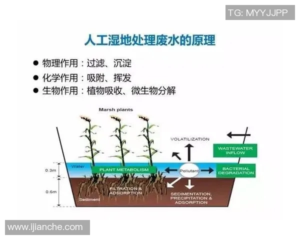 掌握足球转身技巧提升球场表现的全面指南与训练方法 掌握足球转身技巧提升球场表现的全面指南与训练方法